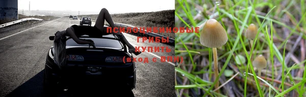 тгк Арсеньев