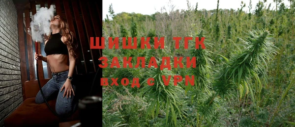 тгк Арсеньев