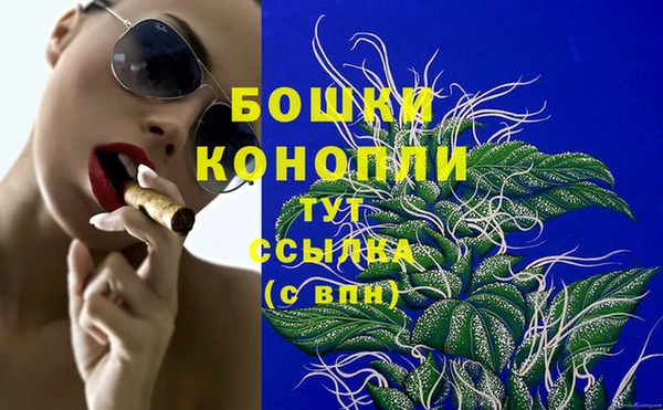 тгк Арсеньев