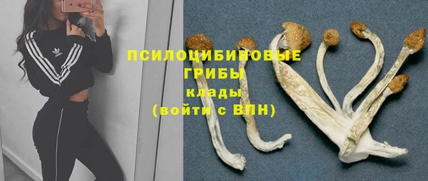 трава Аркадак