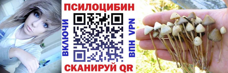 Купить  Томари  Галлюциногенные грибы MAGIC MUSHROOMS 